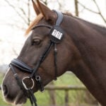 Zwart QHP startnummer Modeste Rond lifestyle afbeelding