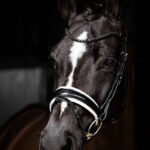 Lifestyle photo LeMieux Kudos Patent Dressage bridle Black/White
