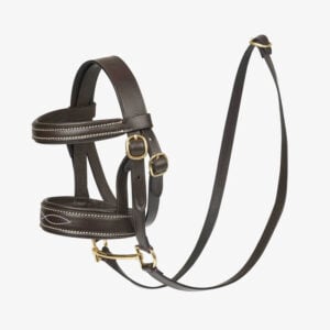 LeMieux Toy Pony hoofdstel Bruin