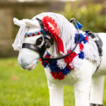 Lifestyle foto LeMieux Toy Pony Rosette Pack