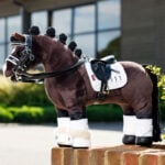 Lifestyle foto LeMieux Toy Pony dressuurzadel zwart