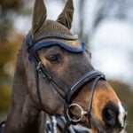 Oornetje LeMieux Classic Alpine lifestyle foto