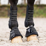 Photo lifestyle QHP Bell Boots Champion