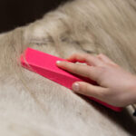 Lifestyle foto Paardenpraat Grooming Brush Roze