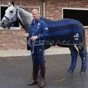 BR vliegendeken Jos Lansink Medieval Blue