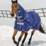 Borstsluiting Bucas Atlantic Turnout navy met hals
