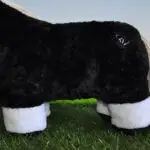 Lifestyle afbeelding fleece bandages Crafty Ponies wit