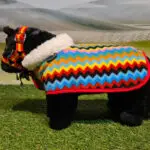 Fleecedeken set ZigZag Crafty Ponies lifestyle foto