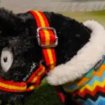 Detail halster Fleecedeken set ZigZag Crafty Ponies