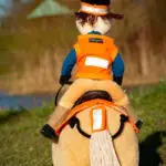 Achterzijde Crafty Ponies Hi Viz Reflectie Set Fluor Oranje