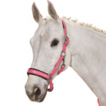Eskadron halster in de kleur Rouge