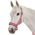 Eskadron halster in de kleur Rouge