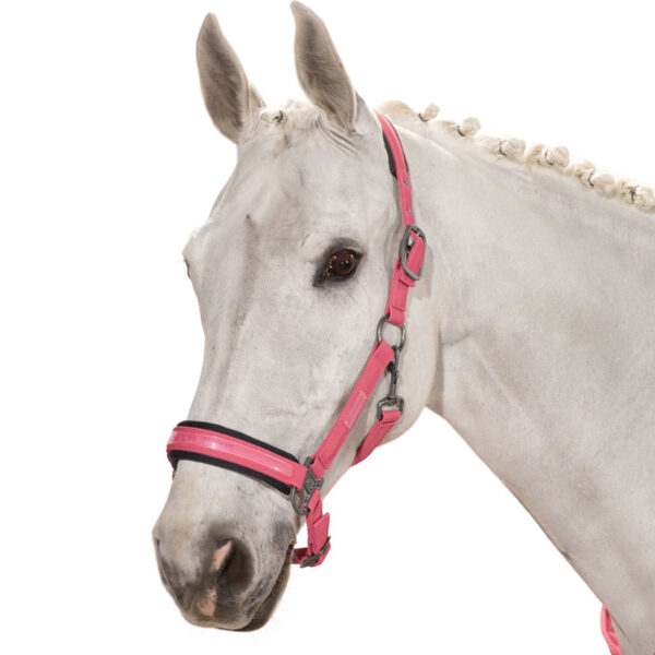 Eskadron halster in de kleur Rouge