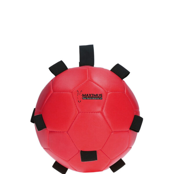 Fun Play Ball Maximus Rood