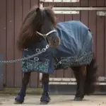 Outdoordeken Harry's Horse STOUT Navy lifestyle