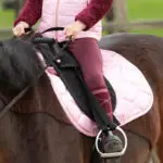 Lifestyle foto dekje Harry's Horse LouLou Courcheval