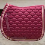 Lifestyle foto dekje Harry's Horse LouLou Meribel