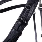 Stang & Trens hoofdstel PresTeq FayPerform detail gespen