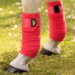 LeMieux Loire fleece bandages Papaya detail