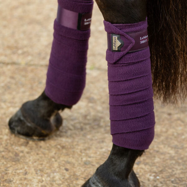 Lifestyle foto LeMeiux bandages Satin Fig