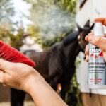 Gebruik Leovet desinfectie spray