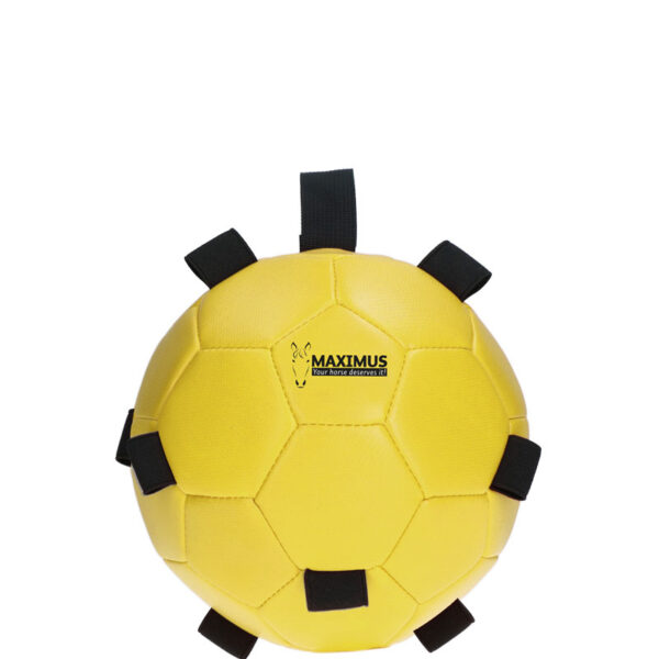Maximus Fun Play Ball Geel