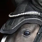 Lifestyle foto Eskadron oornetje Glitter Mesh Sport Essence Darkolive