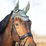 Lifestyle foto Oornetje QHP Gloss Olijf