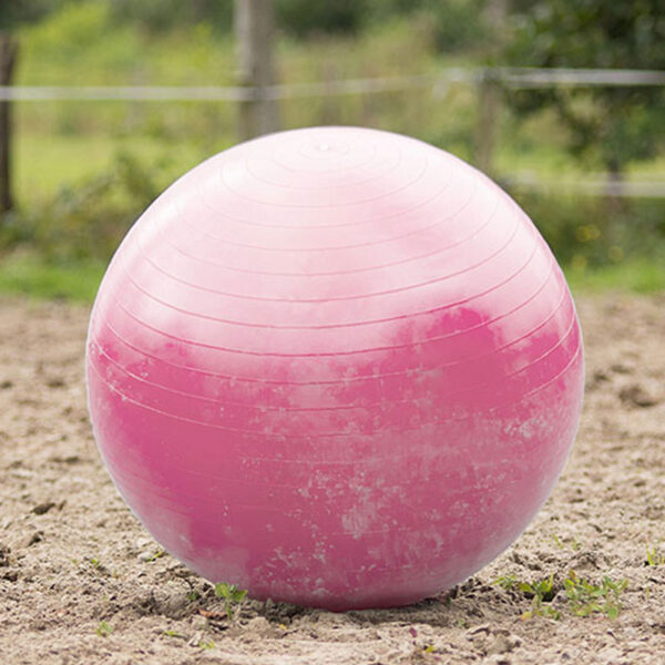 QHP roze paardenvoetbal
