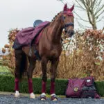 Verzamel afbeelding uitrijdeken QHP Florals collectie
