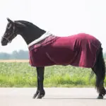 Zijaanzicht QHP fleecedeken Lily bordeaux