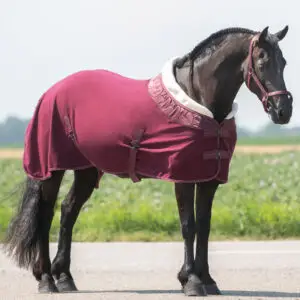 Sfeerfoto QHP fleecedeken Lily bordeaux