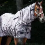 Zijaanzicht QHP vliegendeken met hals en masker Almond