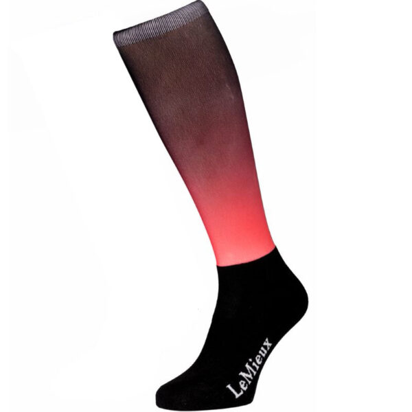 Paardrijsokken LeMieux Spectrum Aubergine/Papaya