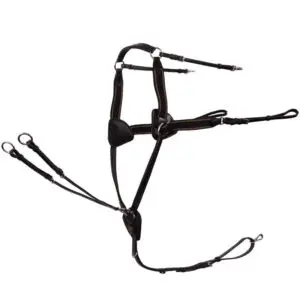 BR Voortuig Leeds Zwart