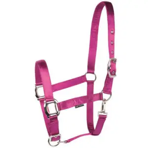 Harry's Horse Halsterset Satin Baton Rouge