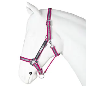 Horka Halsterset Peak Performance Anthracite/Hot Pink