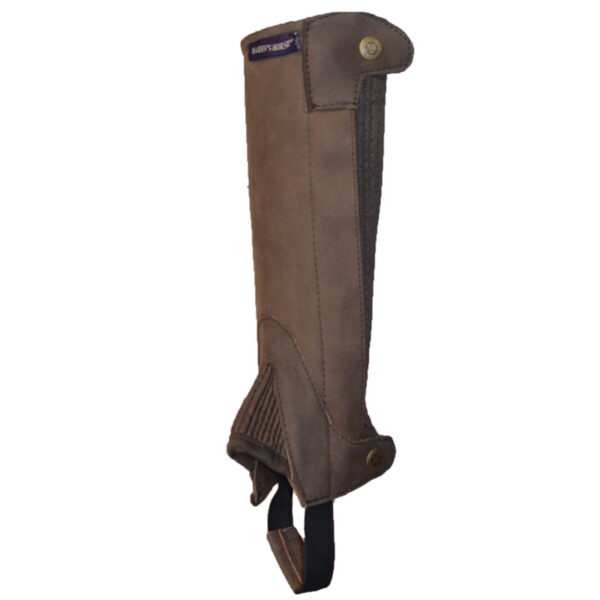 Harry's Horse Mini-Chaps Amara Bruin