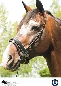 Imperial Riding Neusriem Bonfire Zwart/Wit