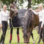 paardendeken