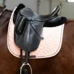 Lifestyle foto zadeldekje Harry's Horse Mira