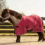 Lifestyle foto Harry's Horse fleecedeken STOUT Burgundy