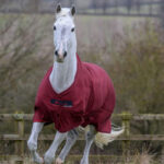Front foto Bucas Freedom Turnout Light Cherry