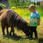Sfeerfoto voorzijde shirt Crafty Ponies
