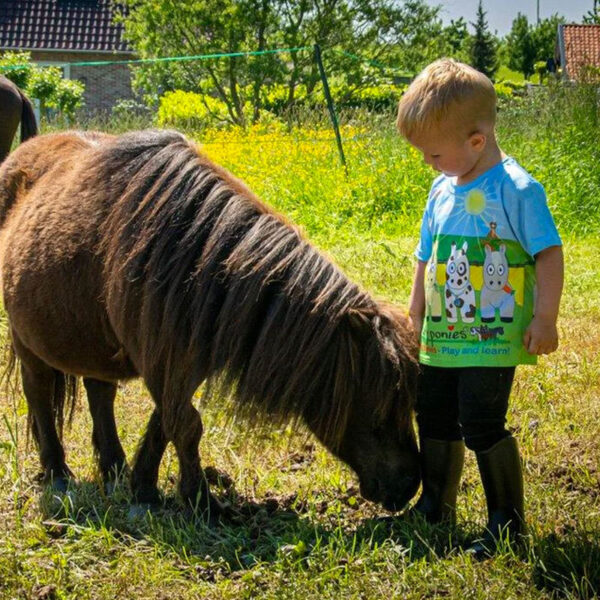 Sfeerfoto voorzijde shirt Crafty Ponies
