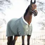 Sfeerfoto zweetdeken QHP Gloss Olijf