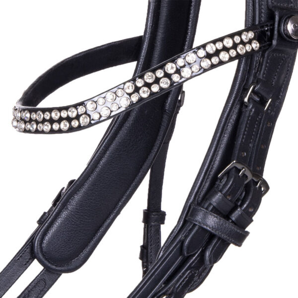 Detail frontriem PresTeq FayPerfrom hoofdstel stang & trens Shine lak