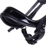 Neusriem PresTeq hoofdstel FayPerform stang & trens Shine lak
