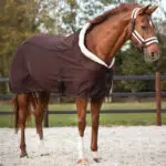 Voorzijde QHP showdeken Julin coffee