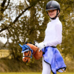 Lifestylefoto QHP Hobby Horse Braun